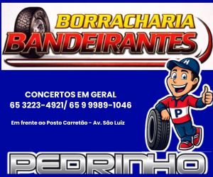 BORRACHARIA