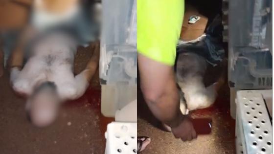 Caminhoneiro é alvejado por dupla de criminosos durante tentativa de roubo em VG